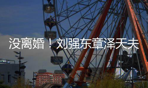 没离刘强新公东章天泽天司强婚成立夫妇