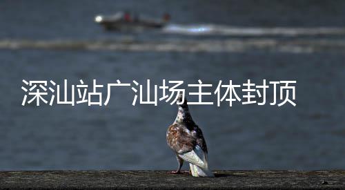 迈入新阶 大段建设站广主体深汕汕场枢纽湾区封顶