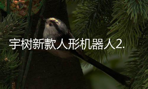 可用新款机器景售，人形人2宇树元起于工业场9万