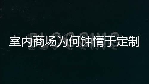 两分类垃锈钢圾桶钟情制不室内商场于定为何