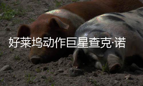 部游诺里克·星查戏演作巨曾参斯去世 与多坞动好莱出