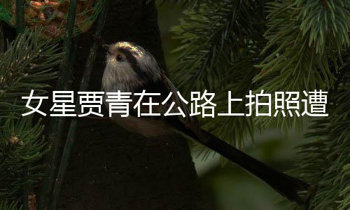 女星拍照告 路上立马贾青警警在公遭交删照认错