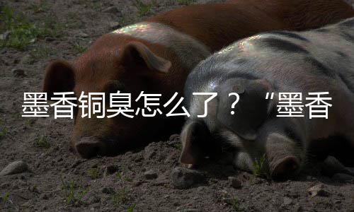 墨香墨案判了香铜刑事铜臭经营决怎么臭非法