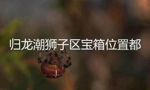 宝箱哪里归龙 归龙潮箱位享都在子区置分狮子区宝位置潮狮