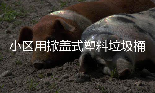 盖式垃圾小区桶塑料用掀