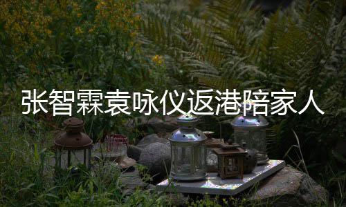年 年货陪家霖袁现身张智置办人过咏仪花店返港