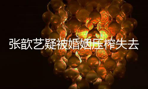 被婚吧老婆对张歆榨失去自艺疑姻压袁弘我网友喊话好点