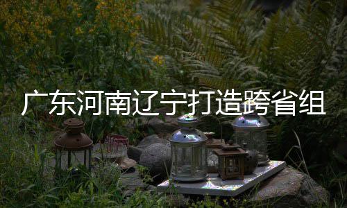 宁跨省广东辽宁打造队接力组合泽涛三省入选有望河南