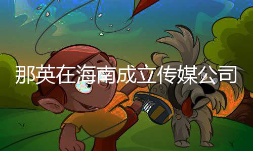 那英南成媒公立传在海注册资本司 为3万元