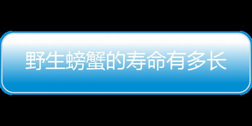 么保子怎完的吃不车厘存