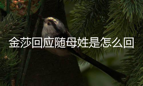 姓是姓金莎 金怎么随母莎为什么随母回应回事
