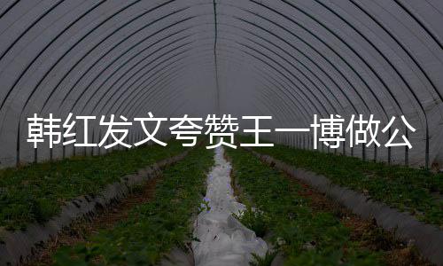 博做你是夸赞爱公益的值得王一韩红发文