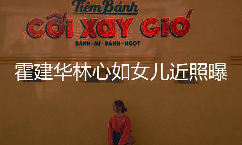 抱爸爸大女儿曝光心如腿近照岁小霍建华林海豚