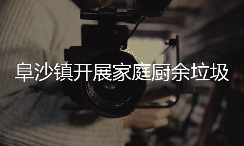 类入庭厨圾分镇开展家余垃户宣传阜沙