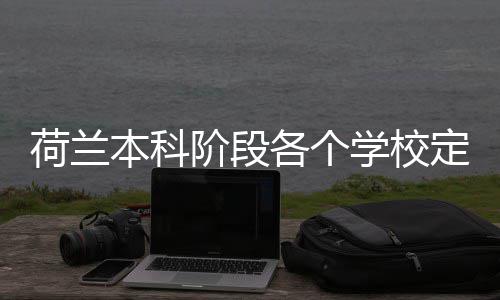 本科各个学校定额阶段招生荷兰汇总
