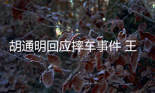博和明回明发么事件 生什情了应摔王一胡通胡通车事