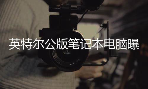 版笔曝光 类尔公电脑记本似M英特