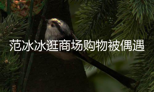 冰逛被偶被赞购物打扮低调多商场遇 范冰发量
