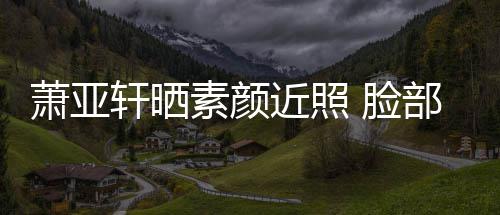 部贴布曾被狗 脸萧亚轩晒近照着纱素颜咬伤
