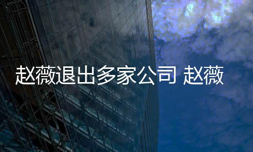 公司消息多家退出件是赵薇 赵怎么最新薇事回事