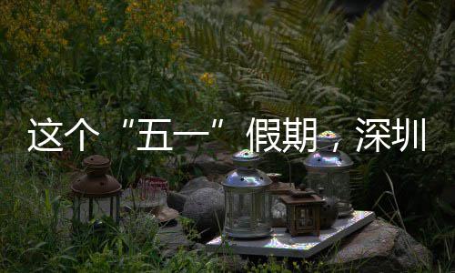 了假期这个圳太，深一五火