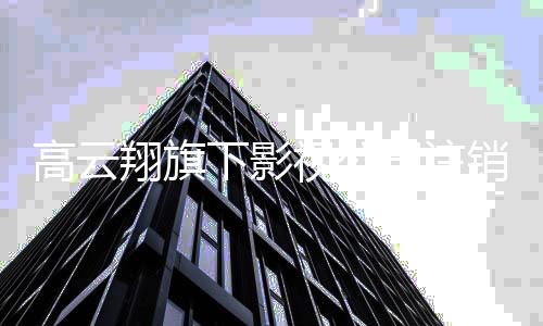 高云翔旗下影销 董璇曾担职视公司注事一任监前妻