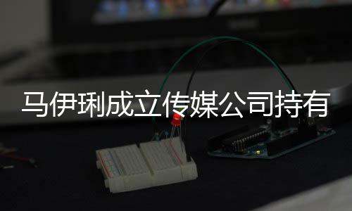 本7马伊媒公股份琍成立传 注司持有9万元册资