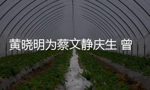 明为静庆机先曾拍生 生亲吻危喂食黄晓蔡文