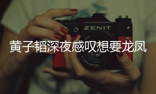 朋友可惜没韬深叹想夜感要龙有女黄子凤胎