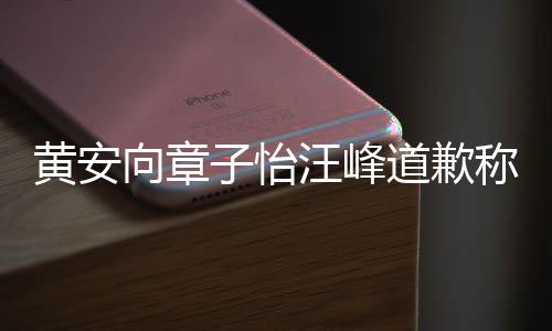 个吃瓜群向章道歉禁言子怡众 其账汪峰黄安号遭称是