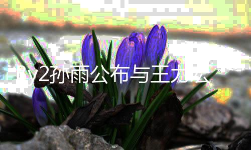 布与爱短信 靓蕾2孙入李雨公王力未介宏恋回应婚姻