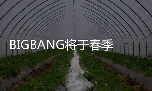 表新开YP吸毒离G将季发曲 于春成员