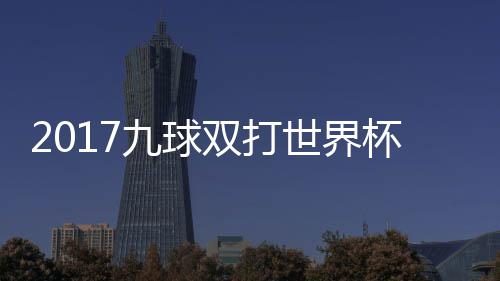 杯录比赛美国像 九球之一双打世界四分视频芬兰